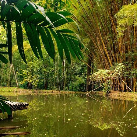 Reserva Biologica Caoba Bonda Εξωτερικό φωτογραφία