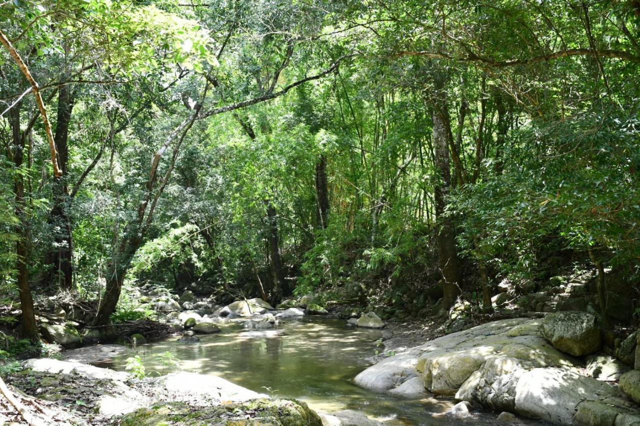Reserva Biologica Caoba Bonda Εξωτερικό φωτογραφία